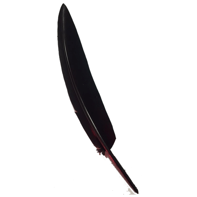 PENNA CAPPELLO ALPINO